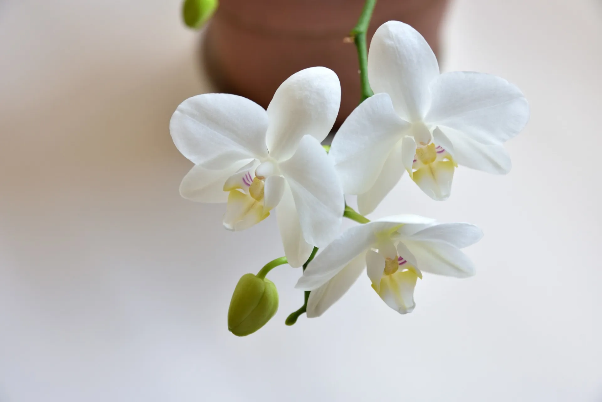 お正月休みのお知らせ